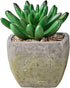 MOTINI Green Mini Artificial Succulents Plants Potted Small Faux Succulent in Cement Pots Fake Realistic Plant for Home Office Decor Indoor Outdoor, Set of 3