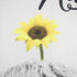 EOBTAIN Get Naked Highland Cow Shower Curtain Farmhouse Animal with Sunflowers Yellow Floral Funny Bull Grey Western Cattle Modern Bathroom Curtain Easy Care 69x70Inches Waterproof Fabric 12 Hooks