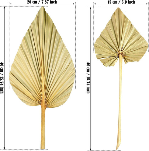 Natural Dried Palm Leaves Real Palm Spears Boho Dried Leaves Decor Tropical Palm Leaves Decoration Artificial Plants Palm Leaves Wedding Home Decor for Wedding Anniversary Home Decor (6 Pieces)