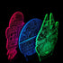 Holinox 3D Light Awesome Gift for Fans (MT271)