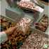 Rubbermaid 9F75 32 oz Capacity, 10.8" Length x 4.8" Width x 4.7" Height, Clear Color, Polycarbonate Bouncer Contour Scoop