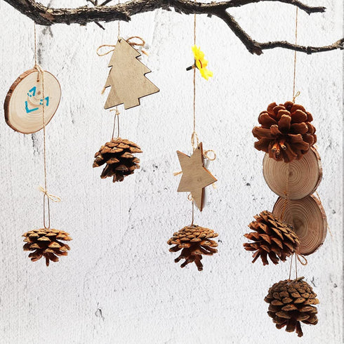 JOHOUSE 24PCS PineCones, Natural PineCones Package, PineCones Ornaments for Christmas Autumn and Winter Crafts Decorating, 1.9-2.5inches
