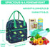 Lunch Box Bag for Kids,VASCHY Insulated Lightweight Lunch Box Tote for Toddler Boys and Girls School Daycare Kindergarten Dinosaur