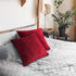 PAVILIA Decorative Throw Pillow Covers, Set of 2, 20x20, Solid Wine Red | Square Pillow Case for Sofa Couch Bed Bedroom Living Room | Fleece Velvet Plush Soft Decor Accent Zipper Euro Cushion Cover