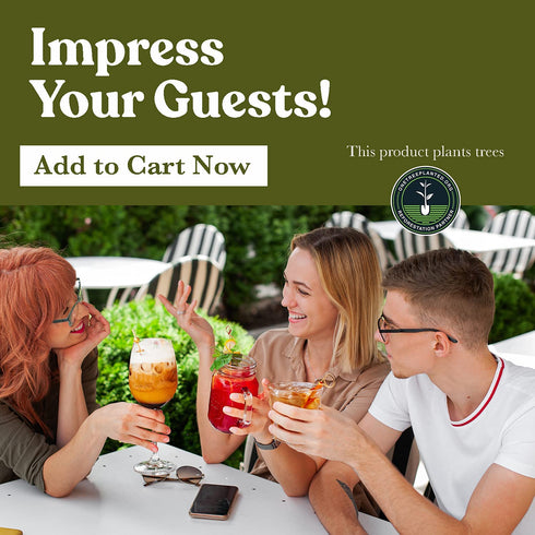 Bamboo Loop Cocktail Picks for Appetizers €“ 6 inch Black Bamboo Skewers (100 Pack) €“ Bamboo Food Picks €“ Party Toothpicks for Appetizers Fruits and Cocktail Drinks