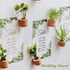 JUSTDOLIFE Plant Fridge Magnets-14 Pack Mini Succulent Plants Magnets Artificial Plants Refrigerator Magnets Potted Succulent Plants Magnet Stickers Cute for Magnet Boards Fridge Home Office Décor
