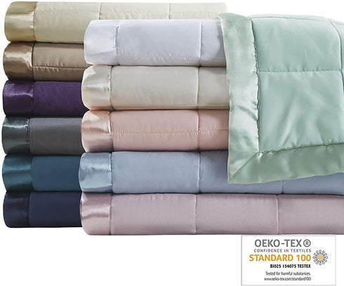 Madison Park Windom Microfiber Down Alternative Stain Resistant Blanket, Twin, Blue