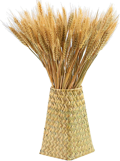 yarlung 300 Stems 16 Inch Dried Wheat Sheaves, Natural Wheat Stalks Bundle Fall Arrangement for DIY Craft, Home Table, Wedding