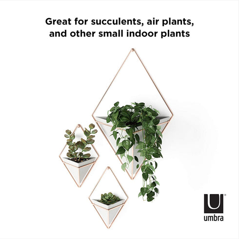 Umbra Trigg Hanging Planter Vase & Geometric Wall Decor Ceramic Container - Great For Succulent Plants, Air Plant, Mini Cactus, Faux Plants and More, Large, Concrete/Copper