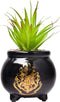 Silver Buffalo Harry Potter House Crest Decorative Artificial Faux Greenery Plant in Ceramic