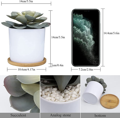 Hopewood Artificial Succulents in Pots,Large Succulents Plants Artificial with Bamboo Trays, 5.5" X 6" Fake Plants for Bedroom Decor, Set of 2