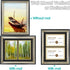 Space Art Deco, 11x14 Picture Frame with 2 Opening for Two 5.5x8.5 Business Licenses with Mat or 11x14 Frame Without Mat.Wall Display Horizontal or Vertical, High Definition Glass (Black with Silver Beveled Design)