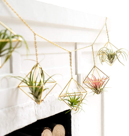 Dahey 6 Pcs Hanging Air Plant Holder Mini Metal Airplant Rack Hanger Modern Himmeli Geometric Planter Tillandsia Air Fern Display Stand with Chains for Home Office Wall Decor Wedding Ornament,Gold