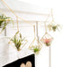 Dahey 6 Pcs Hanging Air Plant Holder Mini Metal Airplant Rack Hanger Modern Himmeli Geometric Planter Tillandsia Air Fern Display Stand with Chains for Home Office Wall Decor Wedding Ornament,Gold