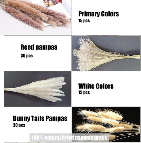 Pampas Grass 80 pcs 17.5 inch Natural Dried Pampas Grass - 15Pcs White Pampas & 15Pcs Brown Pampas & 30Pcs Reed Grass & 20Pcs Bunny Tail Grass,Fluffy stem Bouquet for Home Decor Wedding Boho Decor