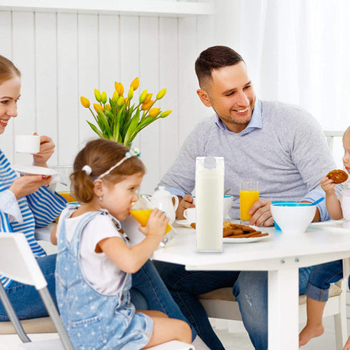 HEMOTON 2Pcs Clear Water Bottle Milk Carton Shaped Water Bottle Reusable Plastic Juice Bottle Beverage Milk Cup for Outdoor Climbing Travel Or Camping 500ml