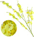 ProYankiot Orchids Artificial Silk Flowers 12 pcs 37? Fake Faux Dancing Lady Orchids Stem Flower for Home Decor Indoor Party Office Festival Decoration Yellow