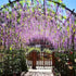 12 PCS 3.6 Feet Artificial Fake Wisteria Vine Rattan Hanging Garland Silk Flowers String Home Party Wedding D©cor, Purple