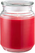 Candle-Lite Apple Cinnamon Crisp Jar Candle, 18 oz, Red