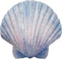 World of Wonders - Ocean Harmony Series - Captiva - Elegant Scallop Seashell Wall Sculpture Hand-Painted Easy Mount Beach House Shabby Chic Sea Life Marine Nautical Home Decor Accent, 8.5-inch