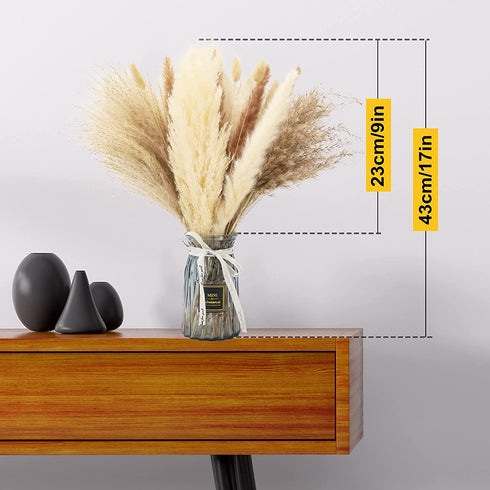 Natural Dried Pampas Grass 65pcs Boho Decor Pampas Grass Bundles Perfect for Home Wedding Decoration Kitchen Decor Flower Arrangement DIY Wreath Balcony Placement