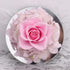 Sacredyna Birthday Gift for Grandma Mom, Preserved Real Rose, LED Angel Figurine Gift for Women Christian, Memory Gift