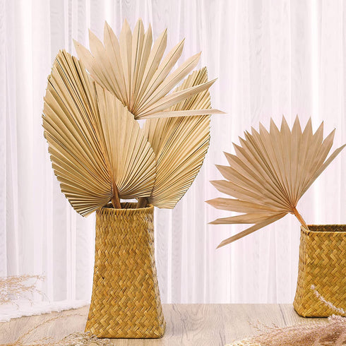 Dried Palm Leaves,4 Pieces 12X18 inch Natural Dried Palm Fans Neutral Home House Decor | Wedding Decor | Leaves + Flower + Leaf Decor