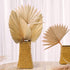 Dried Palm Leaves,4 Pieces 12X18 inch Natural Dried Palm Fans Neutral Home House Decor | Wedding Decor | Leaves + Flower + Leaf Decor