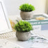 THE BLOOM TIMES 2 Pcs Fake Plants for Bathroom/Home Office Decor, Small Artificial Faux Greenery for House Decorations (Potted Plants)