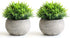 THE BLOOM TIMES 2 Pcs Fake Plants for Bathroom/Home Office Decor, Small Artificial Faux Greenery for House Decorations (Potted Plants)