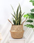 BlueMake Woven Seagrass Belly Basket for Storage Plant Pot Basket and Laundry, Picnic and Grocery Basket (Large, Original)