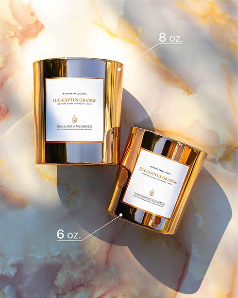 Eucalyptus & Orange Scented Candles for Home Scented | Wood Wicked Candles | Eucalyptus Candle | 8 oz 45 Hour Burn, All Natural Soy Candle, Calming Aromatherapy Candles in Rose Gold Glass Jar
