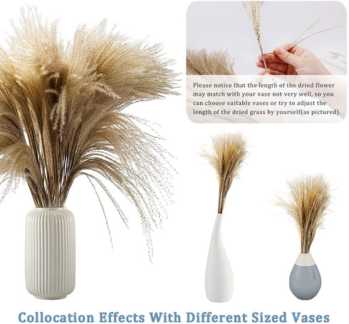 17.72" Dried White Pampas Grass 15 Pcs–•Brown Dried Flower 15 Pcs–•30 Pcs Natural Dried Reed, Natural Home Decor & Ideal for Flower Arrangements, Wedding Plants(60 Pcs)