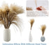 17.72" Dried White Pampas Grass 15 Pcs–•Brown Dried Flower 15 Pcs–•30 Pcs Natural Dried Reed, Natural Home Decor & Ideal for Flower Arrangements, Wedding Plants(60 Pcs)