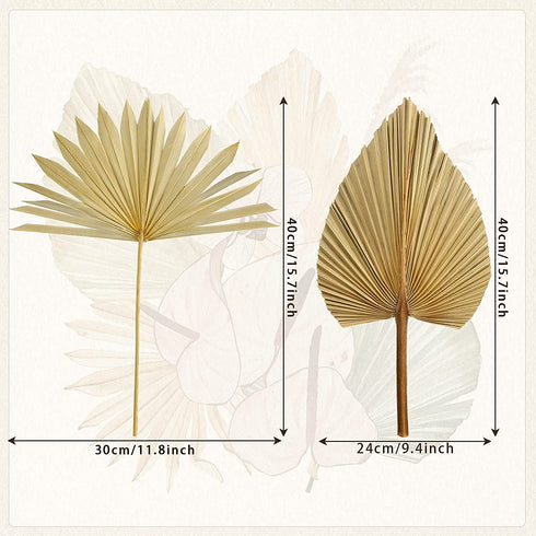 Dried Palm Leaves,4 Pieces 12X18 inch Natural Dried Palm Fans Neutral Home House Decor | Wedding Decor | Leaves + Flower + Leaf Decor