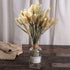 Natural Dried Bunny Tail Grass - 110~120 Stems Rabbit Tail Grass, Lagurus Ovatus for Boho Decor, Dried Pampas Grass Flower Arrangements Wedding Home Kitchen Office Decor (Nature)