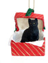 Conversation Concepts Black Shorthaired Tabby Cat Gift Box Red Ornament