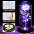 Beferr Mother's Day Unique Gift for Women, Galaxy Rose Glass Crystal Flower Gift in Glass Dome with LED Light Mothers Day Birthday Gift Ideas for Mom/Wife/Grandma/Daughters