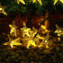 SNOMYRS Solar String Lights Outdoor 21 Ft 30 LED Solar Starfish String Lights with 8 Lighting Modes Starfish Fairy String Lights for Garden Yard Lawn Patio Grass Wedding Christmas Decor Warm White