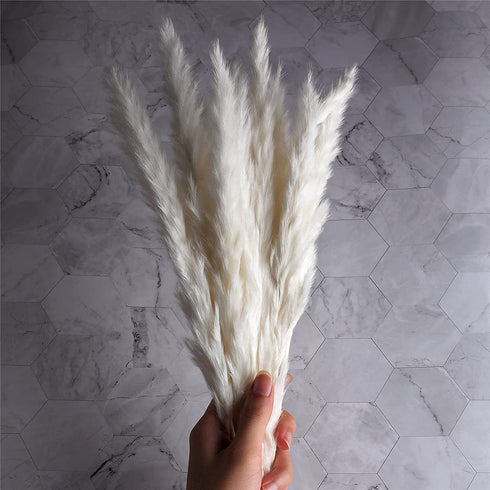 ManYmbyan 40Pcs Pampas Grass,18in Dried Pampas Grass Decor for Home Kitchen Wedding Flower Arrangement and Vase Fillings(White)