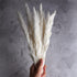 ManYmbyan 40Pcs Pampas Grass,18in Dried Pampas Grass Decor for Home Kitchen Wedding Flower Arrangement and Vase Fillings(White)