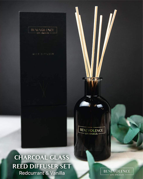 Reed Diffusers for Home | Energizing Redcurrant & Vanilla Fragrance Diffuser | Aromatherapy Scented Oil Reed Diffuser Set | Scented Oil Diffuser Sticks Diffuser | Set The Mood for Productivity
