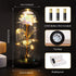 Womens Mom for Mother's Day Artificial Forever Rose in Glass Dome with LED Lights, for mom, Gifts for Valentine's Day Mother's Day Christmas Home Decor