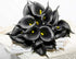 20Pcs Calla Lily Fake Black Flowers Wedding Bouquet Artificial Real Touch Latex Flowers Home Wedding Party Decor (Black)