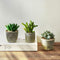 MOTINI Green Mini Artificial Succulents Plants Potted Small Faux Succulent in Cement Pots Fake Realistic Plant for Home Office Decor Indoor Outdoor, Set of 3
