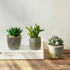 MOTINI Green Mini Artificial Succulents Plants Potted Small Faux Succulent in Cement Pots Fake Realistic Plant for Home Office Decor Indoor Outdoor, Set of 3