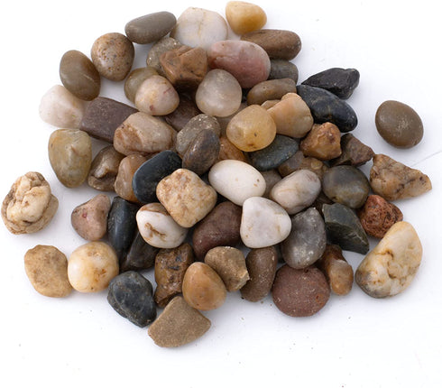 TerraGreen Creations Succulent Planter Kit - Terrarium Kit with Succulent Soil, Gravel, Pebble, Moss, Horticulture Charcoal, Terrarium Supplies For Fairy Gardens, or Cactus - Create Your Own Terrarium