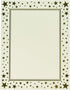 Gartner Studios Gold Star Foil Certificate Paper, 80lb 8.5” x 11”, 15 Count