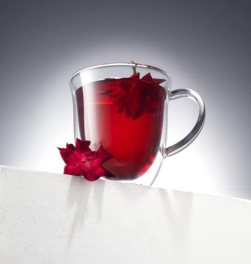 JoyJolt Serene Double Walled Insulated Glasses Coffee Mug (Set of 2) 13.5 Ounces