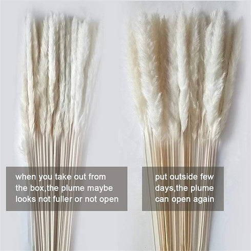 ManYmbyan 40Pcs Pampas Grass,18in Dried Pampas Grass Decor for Home Kitchen Wedding Flower Arrangement and Vase Fillings(White)